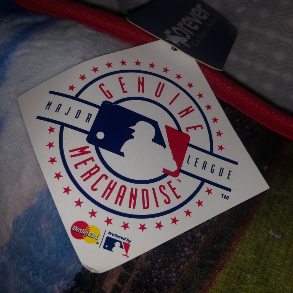 Cubs Pillow NWT